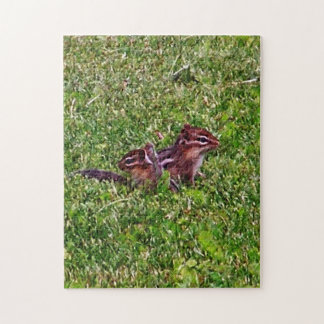 Puzzle Bebé Chipmunks Primer Día #4 Arte Animal