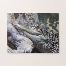 Puzzle Bebé cocodrilo lindo y barato sonriendo