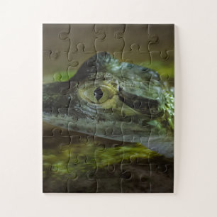Puzzle Bebé cocodrilo nadando en el agua