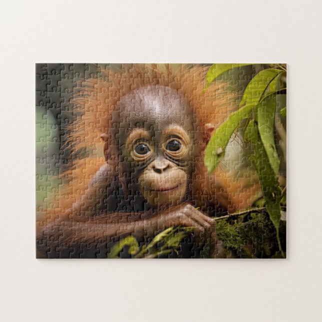 Puzzle Bebé de Orangutan (Horizontal)