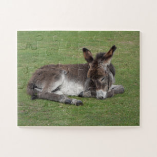 Puzzle Bebé lindo Donkey Fool durmiendo