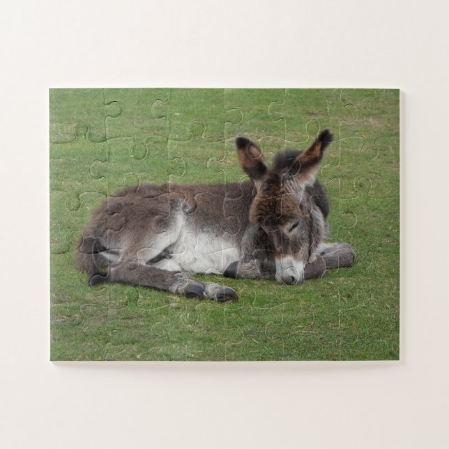 Puzzle Bebé lindo Donkey Fool durmiendo (Horizontal)