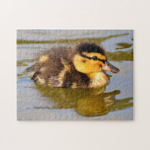 Puzzle Bebé Mallard Duck Natación