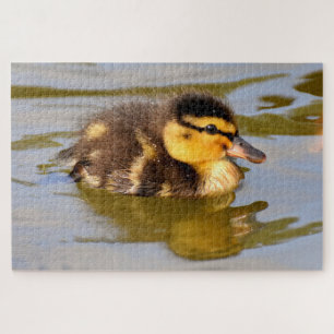 Puzzle Bebé Mallard Duck Natación
