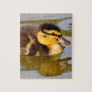 Puzzle Bebé Mallard Duck Natación