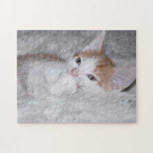 Puzzle Bebé naranja y gatito blanco