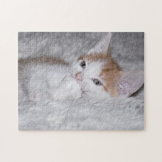 Puzzle Bebé naranja y gatito blanco (Horizontal)