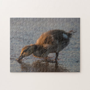 Puzzle Bebé Sediento
