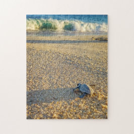 Puzzle Bebé tortuga caminando al océano en Los Cabos