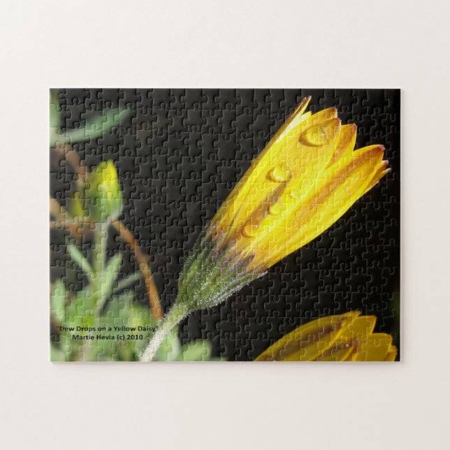 Puzzle Beber gotas en una margarita amarilla - rompecabez (Horizontal)