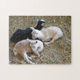 Puzzle Bebés durmiendo