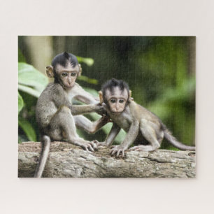 Puzzle Bebés monos en la naturaleza