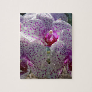 Puzzle Bedazzled