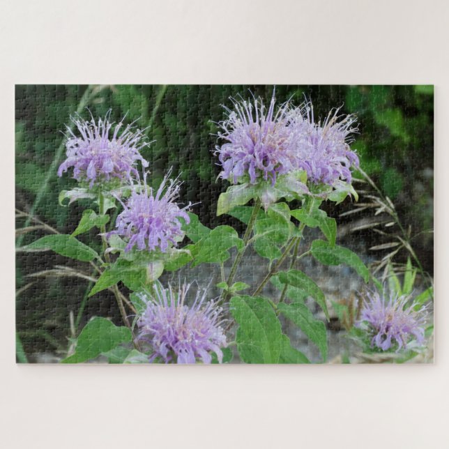 Puzzle Bee Balm en la pradera (Horizontal)