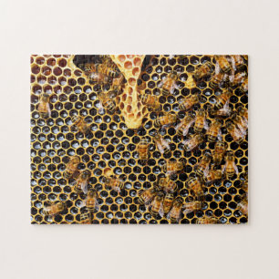 Puzzle Bee Hive con Honeycomb cerca