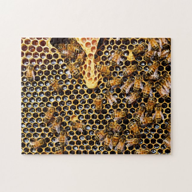 Puzzle Bee Hive con Honeycomb cerca (Horizontal)