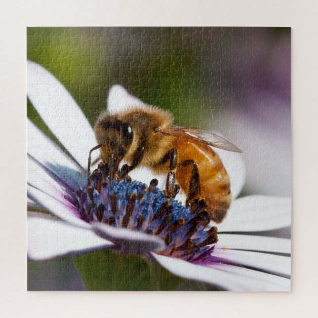 Puzzle Bee on the Flower (Vertical)