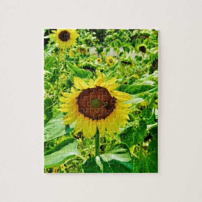 Puzzle Bee on yellow Sunflower (Vertical)