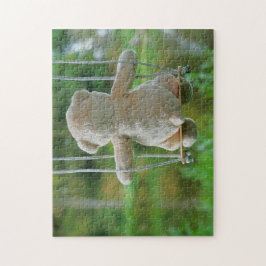 Puzzle Beer op schommel vanaf de rug.