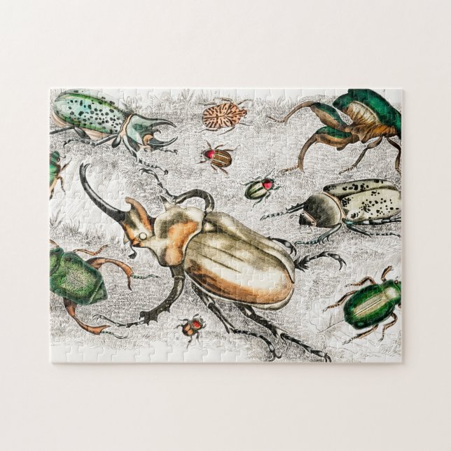 Puzzle Beetles Insects Bugs (Horizontal)