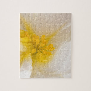 Puzzle Begonia blanca