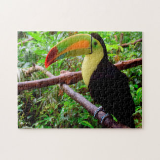 Puzzle Belice Tucon Birds.