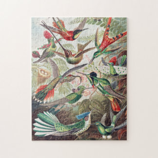 Puzzle Bella Artes de Ernst Haeckel