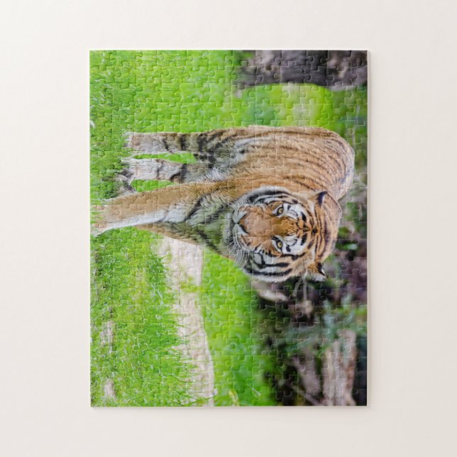 Puzzle Bella tigre (Vertical)