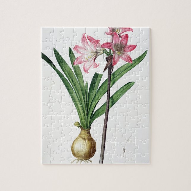 Puzzle Belladona del Amaryllis, de "Les Liliacees", (Vertical)
