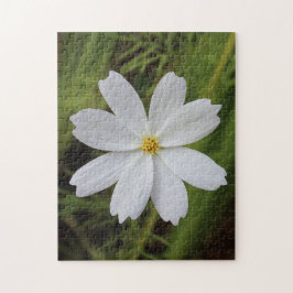 Puzzle Belleza blanca llana