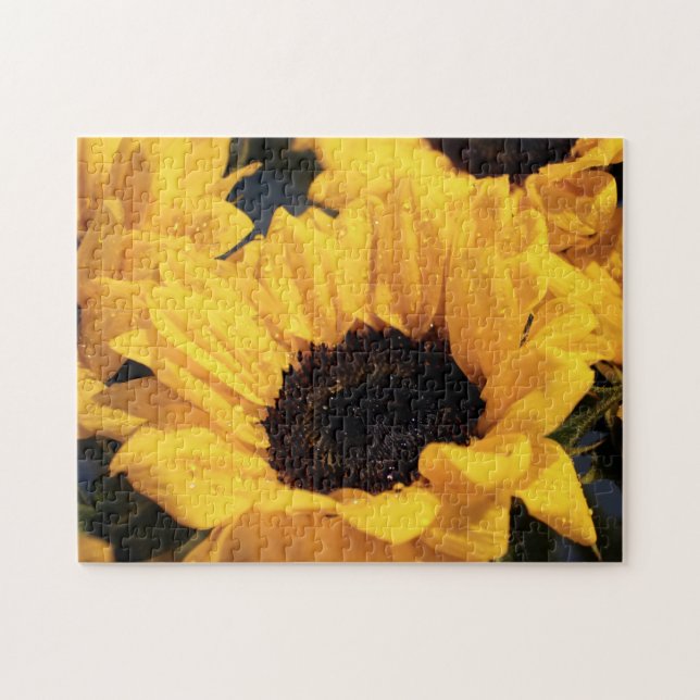 Puzzle Belleza botánica de los girasoles (Horizontal)