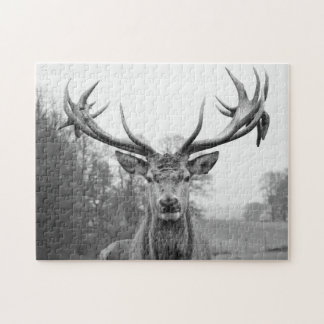 Puzzle Belleza en naturaleza