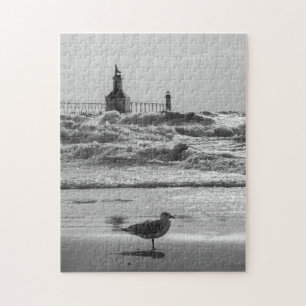 Puzzle Belleza Y Escala De Grises Forzadas