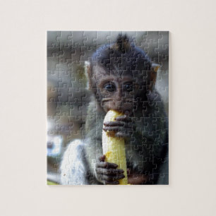 Puzzle Bello mono macaco bebé comiendo plátano