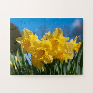 Puzzle Bellos Daffodis Amarillos