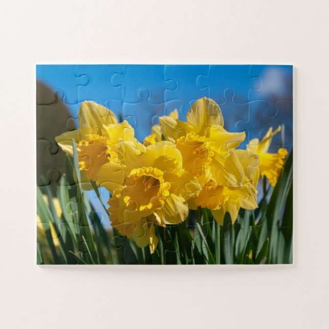 Puzzle Bellos Daffodis Amarillos (Horizontal)