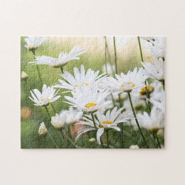 Puzzle Bellos Daisies Blancos | Flores en campo verde (Horizontal)