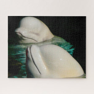Puzzle Beluga Whale Alaska