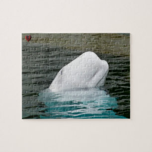 Puzzle Beluga Whale Alaska