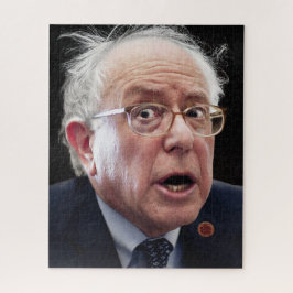 Puzzle Bernie Sanders