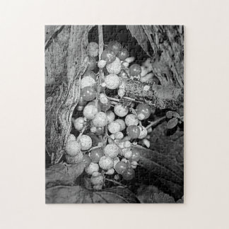 Puzzle Berries En Naturaleza Blanca Y Negra