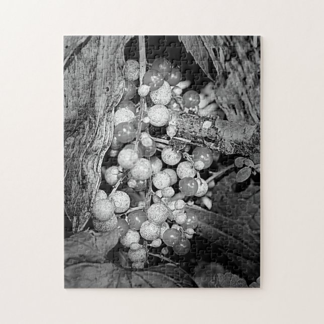 Puzzle Berries En Naturaleza Blanca Y Negra (Vertical)