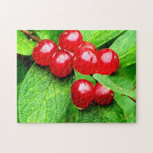 Puzzle Berries Rojas Con La Naturaleza De Las Lluvias