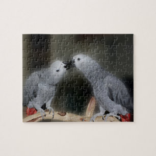 Puzzle Besando loros grises africanos, pájaro bonito