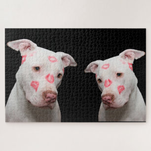 Puzzle Besos de Pitbull