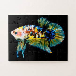 Puzzle Betta Fish Blue & Gold