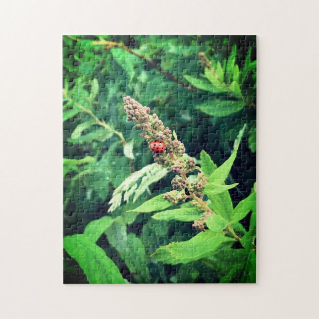 Puzzle Bicho de lodo en primavera (Vertical)