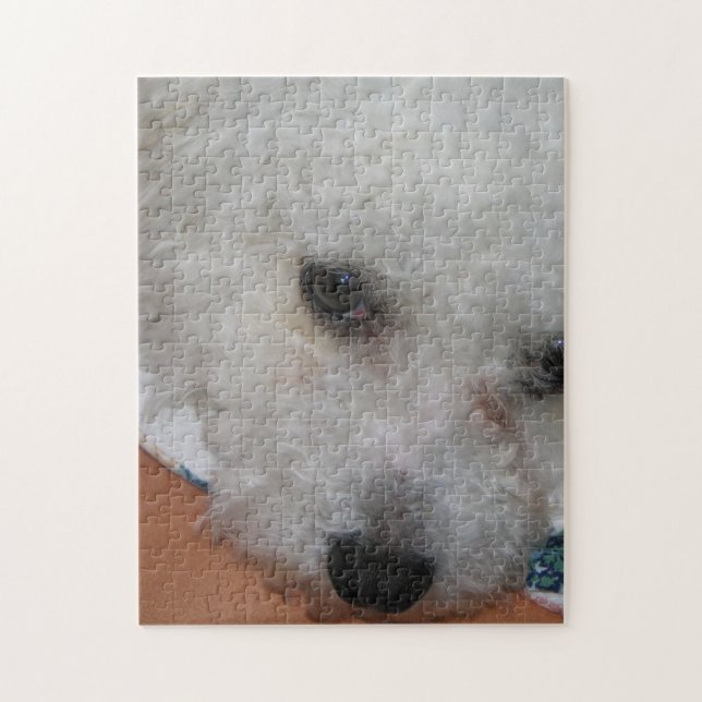 Puzzle Bichon Frisé.png (Vertical)