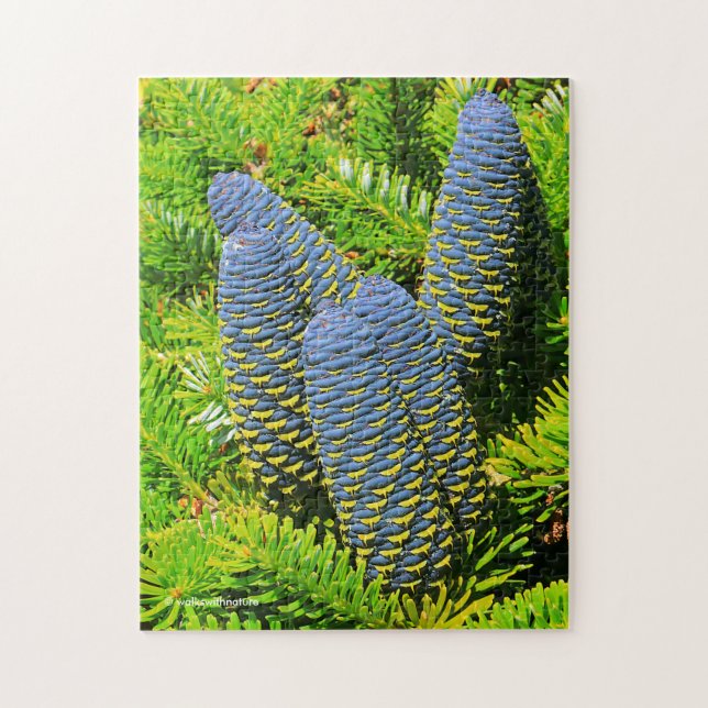Puzzle Big Blue Coreano Fir Cones (Vertical)