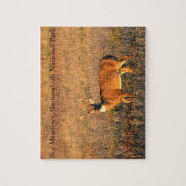 Puzzle Big Buck, Big Meadows, Shenandoah National Park